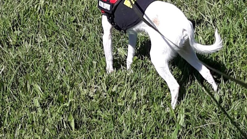 Pulaski Park - Rochester, NY