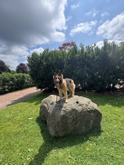 RMSC Public Access Park - Rochester, NY