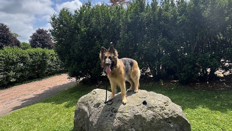 RMSC Public Access Park - Rochester, NY