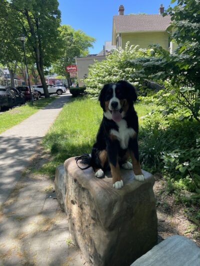 RMSC Public Access Park - Rochester, NY