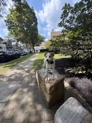 RMSC Public Access Park - Rochester, NY