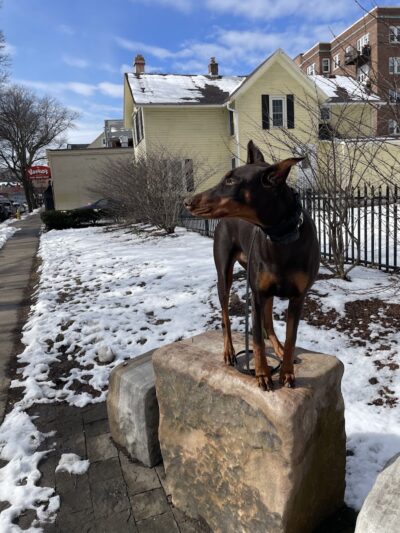 RMSC Public Access Park - Rochester, NY