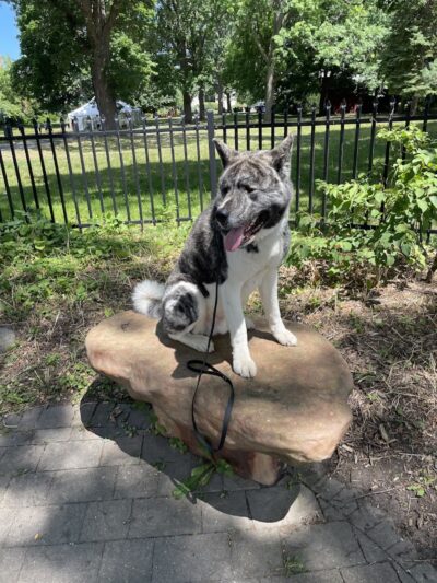 RMSC Public Access Park - Rochester, NY