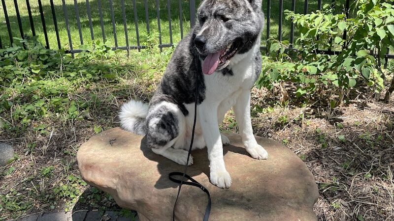 RMSC Public Access Park - Rochester, NY