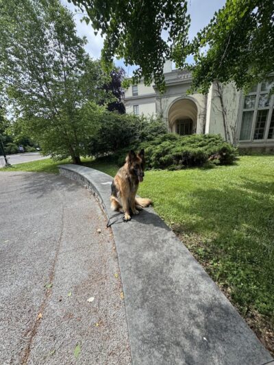 RMSC Public Access Park - Rochester, NY