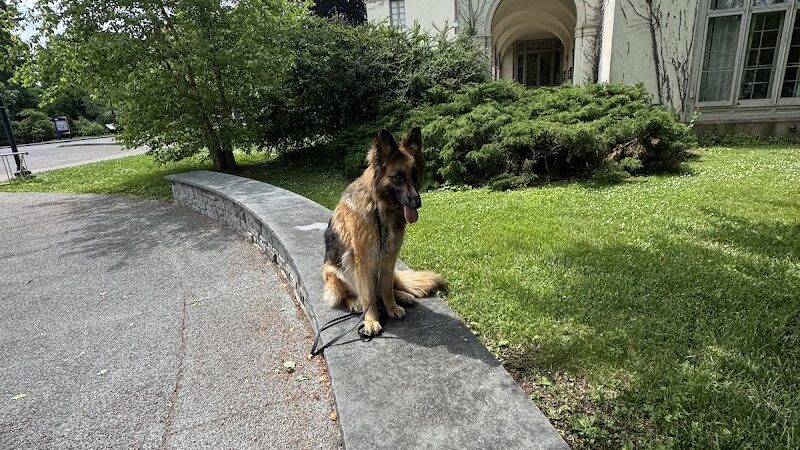 RMSC Public Access Park - Rochester, NY