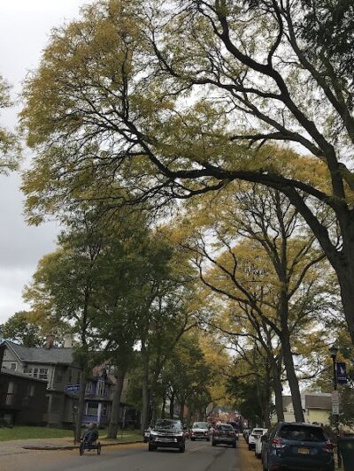 RMSC Public Access Park - Rochester, NY