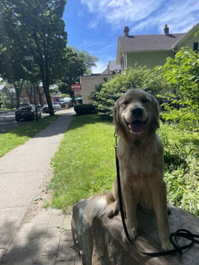 RMSC Public Access Park - Rochester, NY