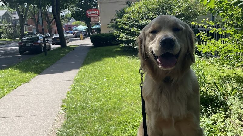 RMSC Public Access Park - Rochester, NY