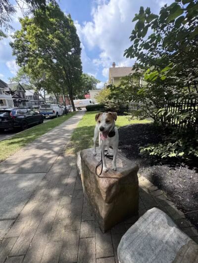 RMSC Public Access Park - Rochester, NY