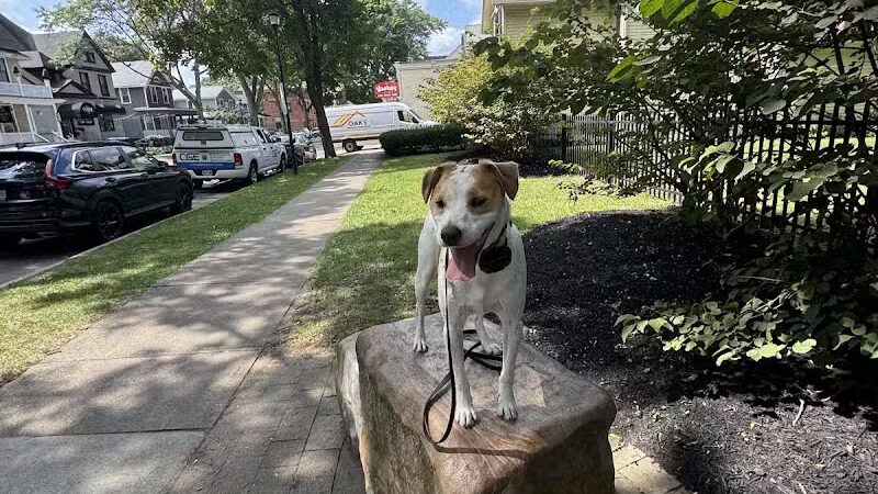 RMSC Public Access Park - Rochester, NY