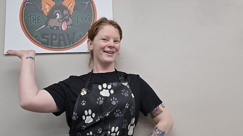 Roc the Dog Spaw - Rochester, NY