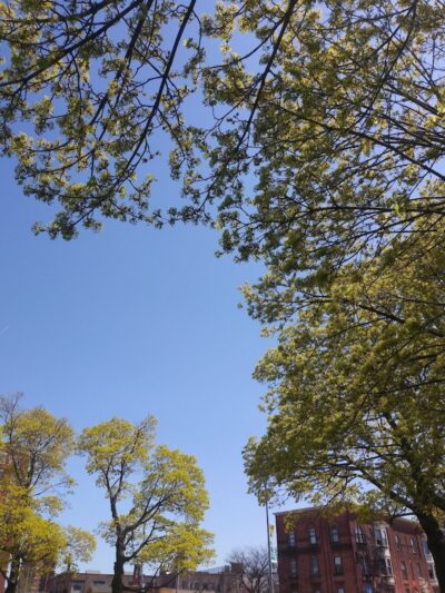 Schiller Park - Rochester, NY