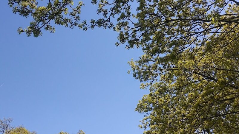 Schiller Park - Rochester, NY