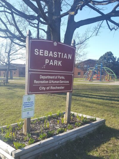 Sebastian Park - Rochester, NY