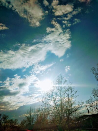 Sebastian Park - Rochester, NY