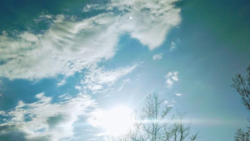 Sebastian Park - Rochester, NY