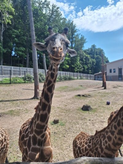 Seneca Park - Rochester, NY