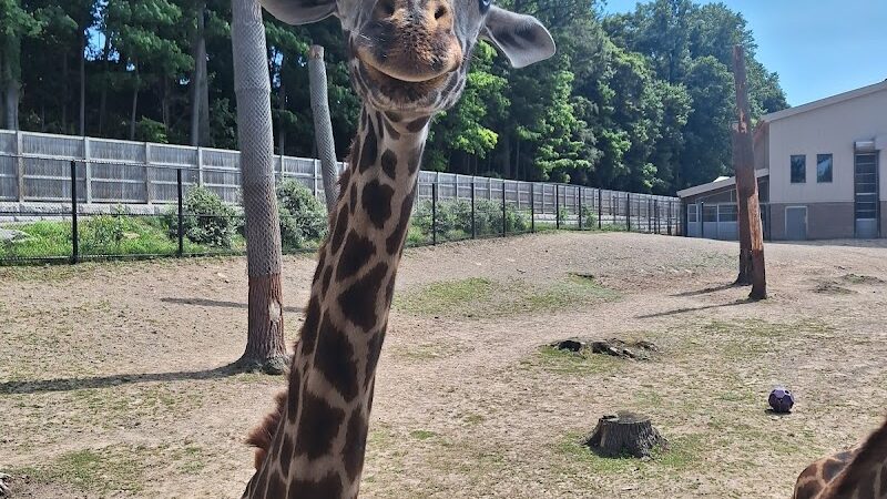 Seneca Park - Rochester, NY