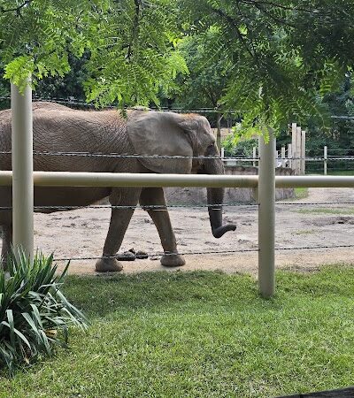 Seneca Park - Rochester, NY