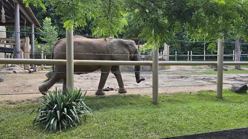 Seneca Park - Rochester, NY