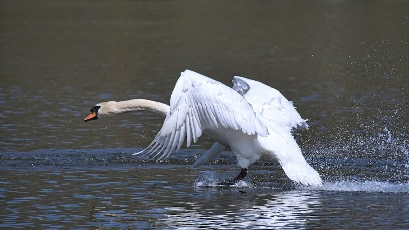 Seneca Park - Rochester, NY