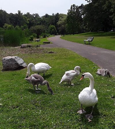 Seneca Park - Rochester, NY