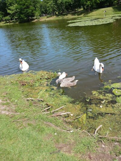 Seneca Park - Rochester, NY