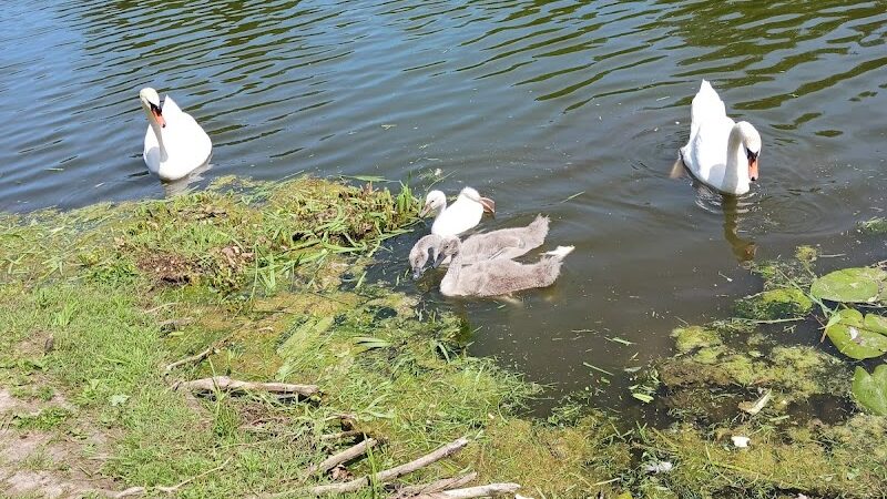 Seneca Park - Rochester, NY