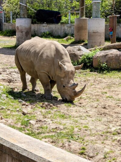 Seneca Park - Rochester, NY