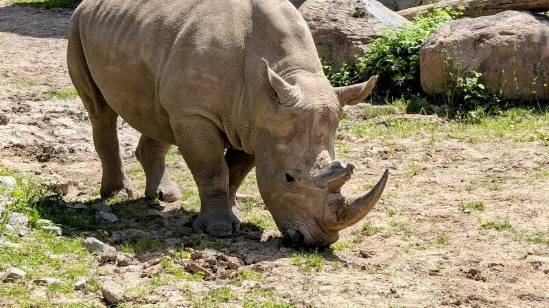 Seneca Park - Rochester, NY