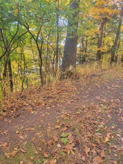 Seneca Park - Rochester, NY