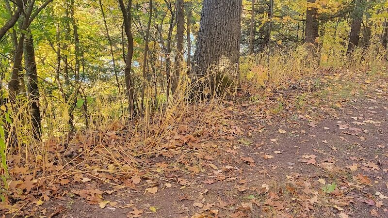 Seneca Park - Rochester, NY