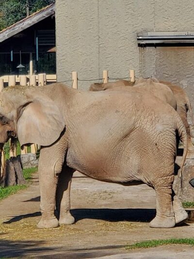 Seneca Park Zoo - Rochester, NY