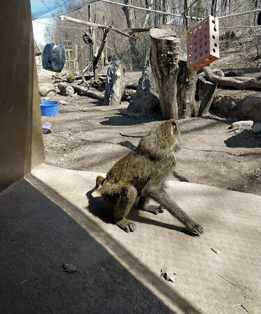 Seneca Park Zoo - Rochester, NY
