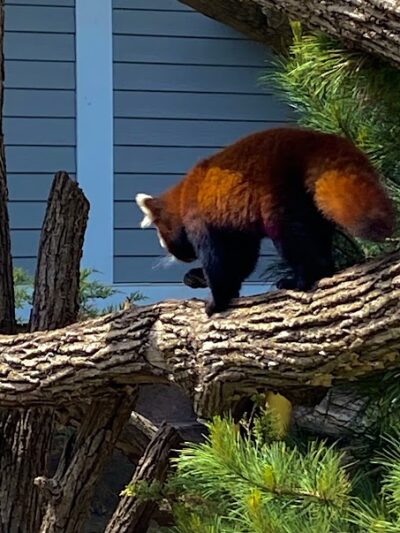 Seneca Park Zoo - Rochester, NY
