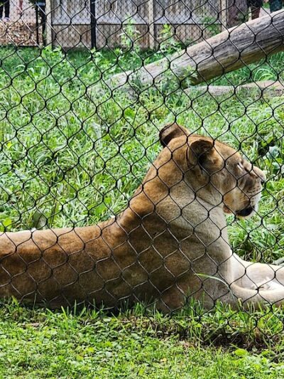 Seneca Park Zoo - Rochester, NY