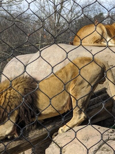 Seneca Park Zoo - Rochester, NY