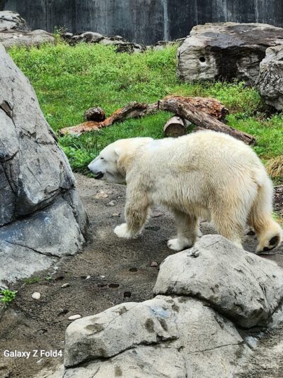 Seneca Park Zoo - Rochester, NY