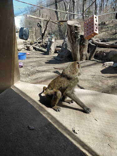 Seneca Park Zoo - Rochester, NY