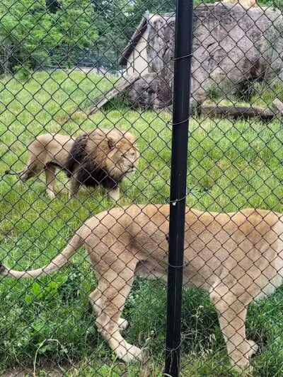 Seneca Park - Rochester, NY