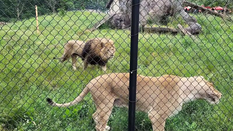 Seneca Park - Rochester, NY