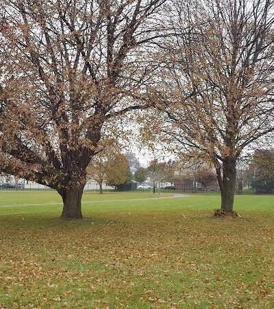 Troup Street Park - Rochester, NY