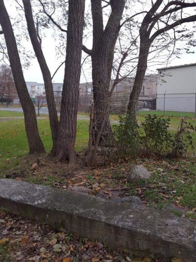 Troup Street Park - Rochester, NY