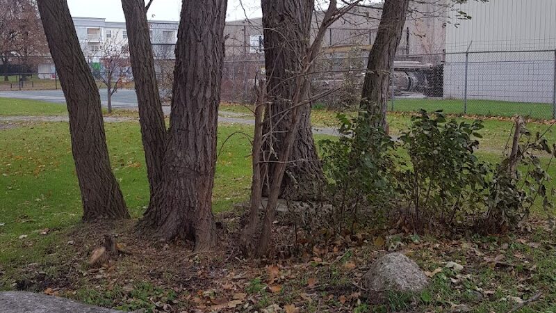 Troup Street Park - Rochester, NY