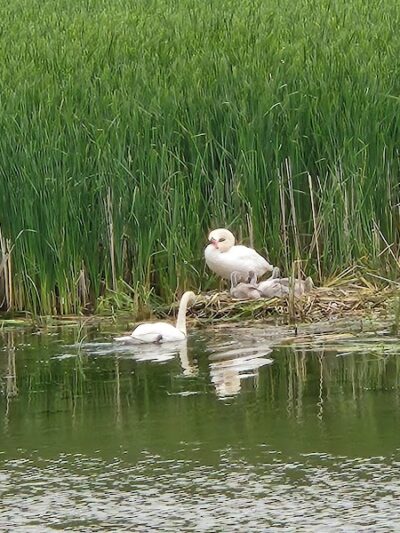 Turning Point Park - Rochester, NY