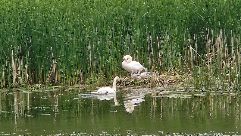 Turning Point Park - Rochester, NY