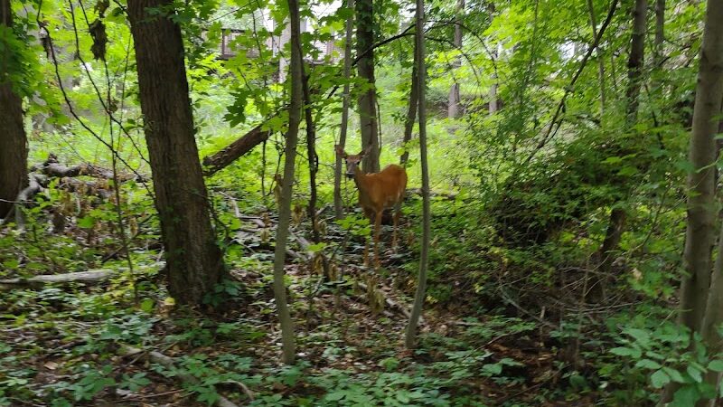 Turning Point Park - Rochester, NY