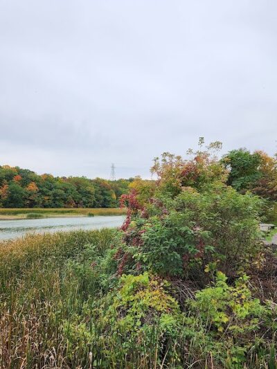 Turning Point Park - Rochester, NY