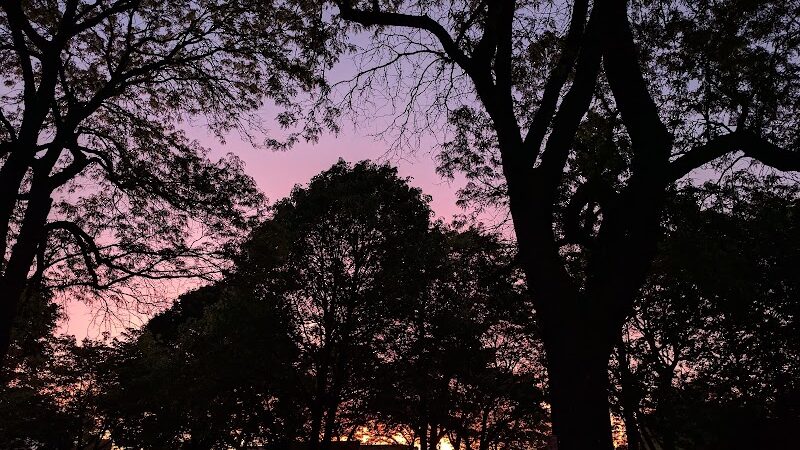 Wadsworth Square Park - Rochester, NY